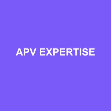 Logo de APV EXPERTISE