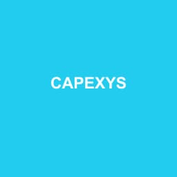 Logo Capexys - Expert-comptable à Plomeur