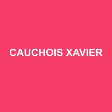 Logo de CAUCHOIS XAVIER