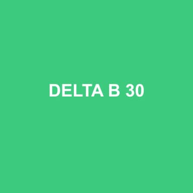 Logo de DELTA B 30