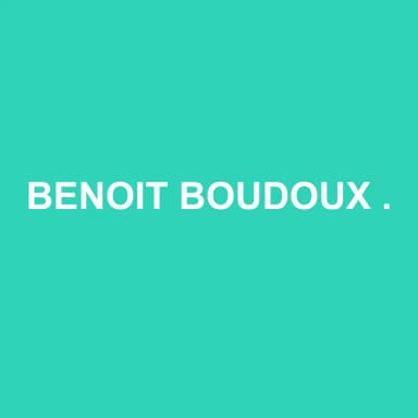 Logo de BENOIT BOUDOUX ET ASSOCIES