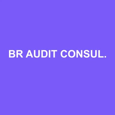 Logo de BR AUDIT CONSULTING