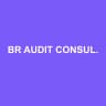 BR AUDIT CONSULTING