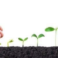 Giuliana Expertise et Conseil - photo 2