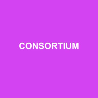 Logo de CONSORTIUM