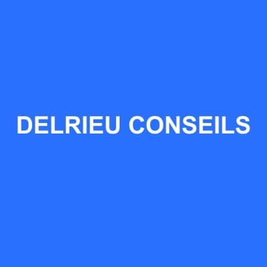 Logo de DELRIEU CONSEILS