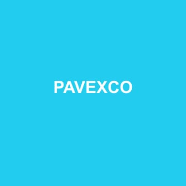 Logo de PAVEXCO