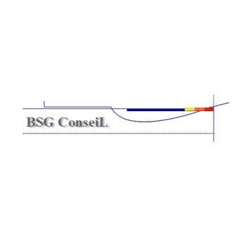 Logo de BSG CONSEIL