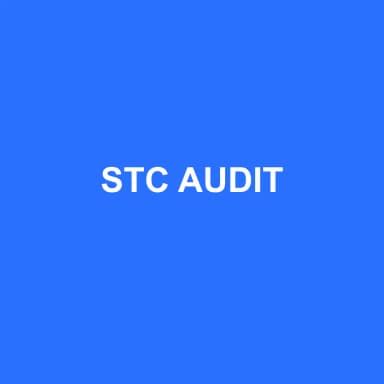 Logo de STC AUDIT