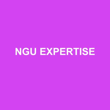 Logo de NGU EXPERTISE