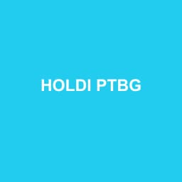 Logo Holdi Ptbg - Expert-comptable à Colombelles