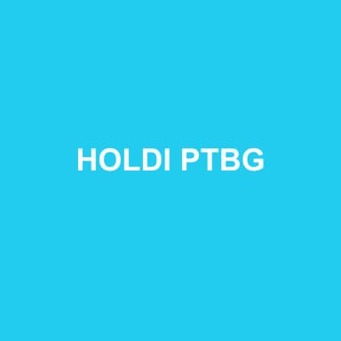 Logo de HOLDI PTBG