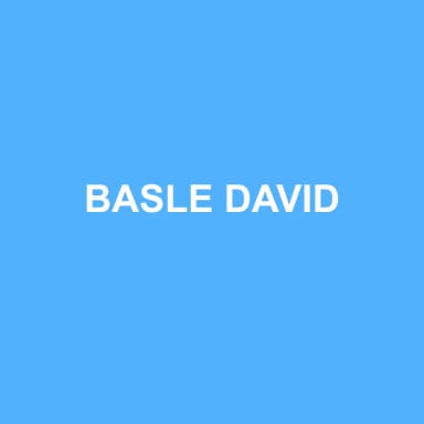 Logo de BASLE DAVID