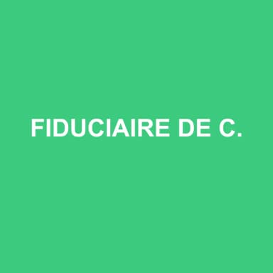 Logo de FIDUCIAIRE DE COMPTABILITE ET DE GESTION DU LEMAN