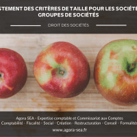 Societe Europeenne D'audit - photo 2