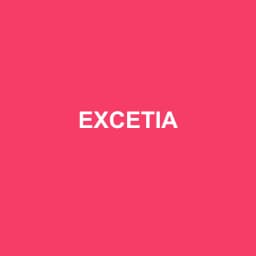 Logo de EXCETIA