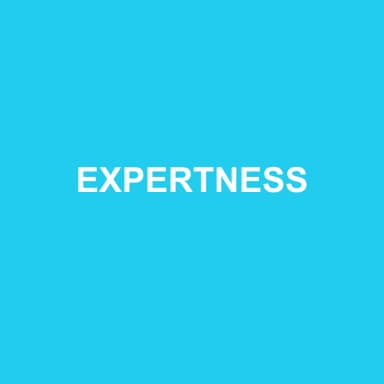 Logo de EXPERTNESS