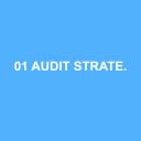 Logo 01 AUDIT STRATEGY MANAGEMENT
