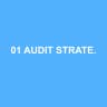01 AUDIT STRATEGY MANAGEMENT