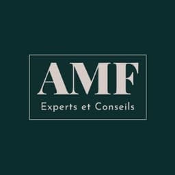 Logo de AMF EXPERTS ET CONSEILS