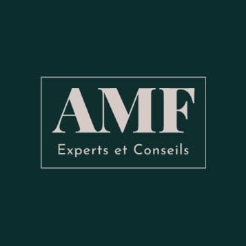 Logo de AMF EXPERTS ET CONSEILS