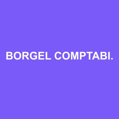 Logo de BORGEL COMPTABILITE CONSEIL