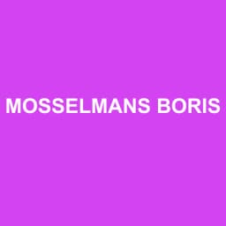 Logo Mosselmans Boris - Expert-comptable à La Seyne-sur-Mer