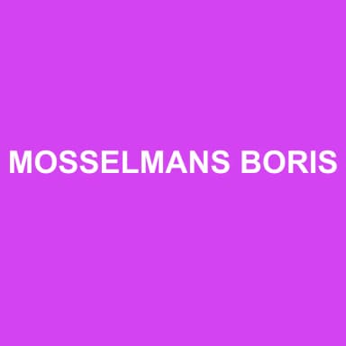 Logo de MOSSELMANS BORIS