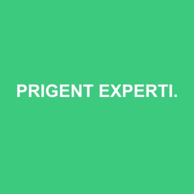 Logo de PRIGENT EXPERTISE