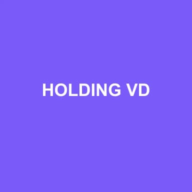 Logo de HOLDING VD