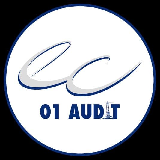 01 Audit Strategy Management - photo 2