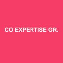Logo de co Expertise Groupe