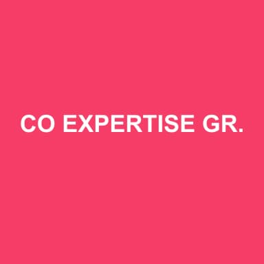 Logo de CO EXPERTISE GROUPE