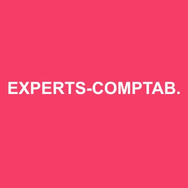 Logo de EXPERTS-COMPTABLES ASSOCIES EXPERTISE