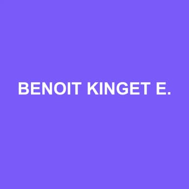 Logo de BENOIT KINGET EXPERTISES