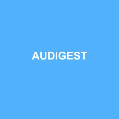 Logo de AUDIGEST