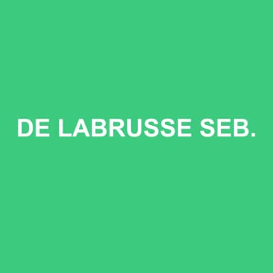 Logo de DE LABRUSSE SEBASTIEN