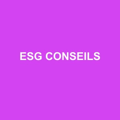 Logo de ESG CONSEILS