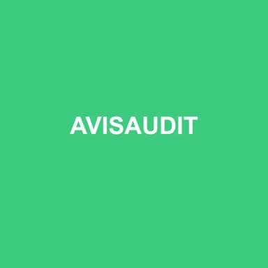 Logo de AVISAUDIT