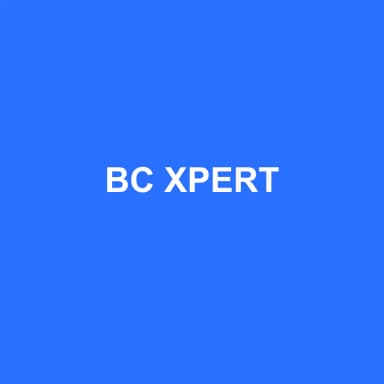 Logo de BC XPERT