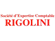 Logo de SOCIETE D'EXPERTISE COMPTABLE RIGOLINI