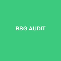 Logo Bsg Audit - Expert-comptable à Cayenne