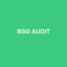 BSG AUDIT