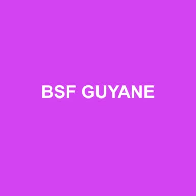 Logo de BSF GUYANE