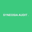Logo SYNEOSIA AUDIT ET CONSEIL