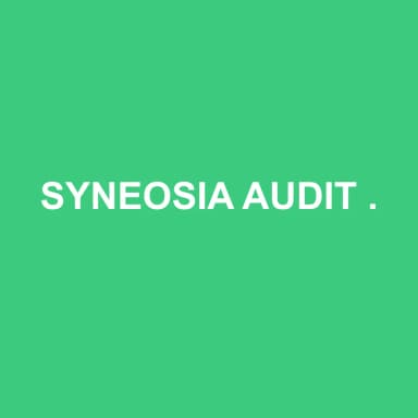 Logo de SYNEOSIA AUDIT ET CONSEIL