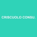 Logo CRISCUOLO CONSULTING