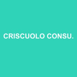 Logo Criscuolo Consulting - Expert-comptable à Carros