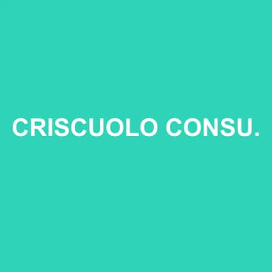 Logo de CRISCUOLO CONSULTING