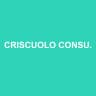 CRISCUOLO CONSULTING